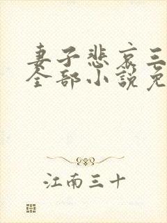 妻子悲哀三部曲全部小说免费阅读