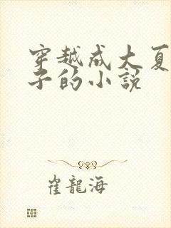 穿越成大夏九皇子的小说