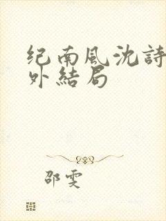 纪南风沈诗澜番外结局