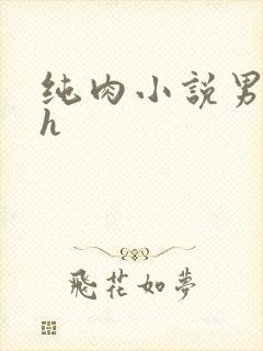 纯肉小说男男高h