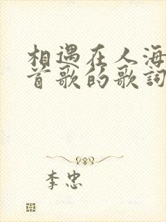 相遇在人海是哪首歌的歌词