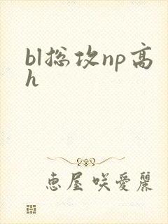 bl总攻np高h