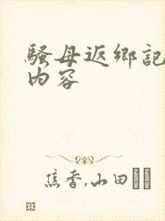 骚母返乡记小说内容