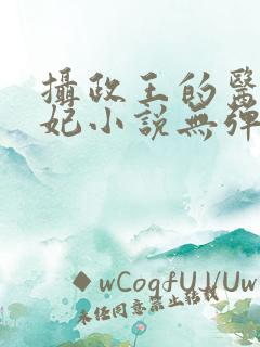 摄政王的医品狂妃小说无弹窗