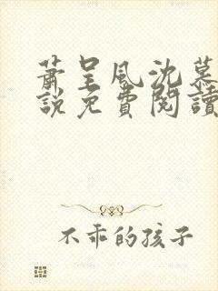 萧呈风沈慕卿小说免费阅读最新章节