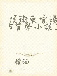 侯卫东官场笔记5有声小说王明君