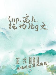(np,高h,纯肉)bg文