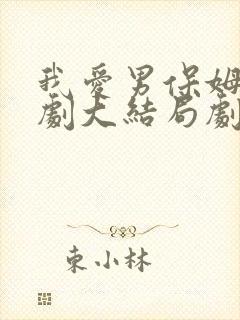 我爱男保姆电视剧大结局剧情介绍