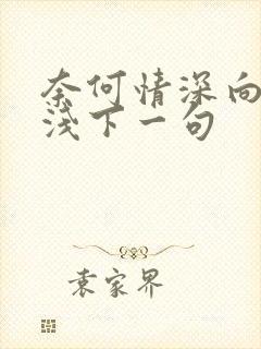 奈何情深向来缘浅下一句