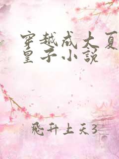 穿越成大夏国七皇子小说