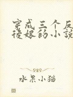 穿成三个反派的后娘的小说