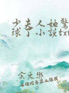 少夫人她惊艳全球了小说txt