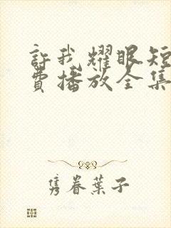 许我耀眼短剧免费播放全集