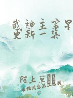 武神主宰星期几更新一集