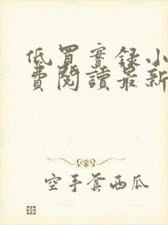 低买实录小说免费阅读最新章节