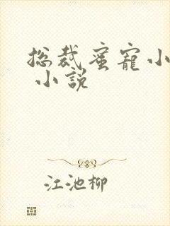 总裁蜜宠小甜妻 小说