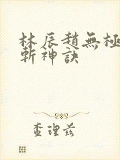 林辰赵无极九天斩神诀