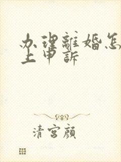 办理离婚怎么网上申诉