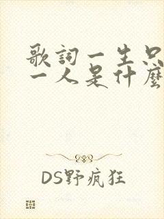 歌词一生只够爱一人是什么歌