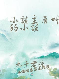 小说主角叫沈浪的小说