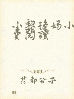 小黎后妈小说免费阅读