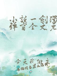 小说一剑独尊无弹窗全文免费阅读