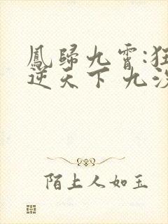凤归九霄:狂妃逆天下 九汐公子
