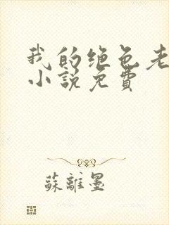 我的绝色老板娘小说免费