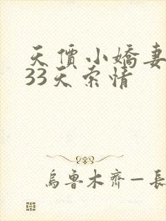 天价小娇妻总裁33天索情