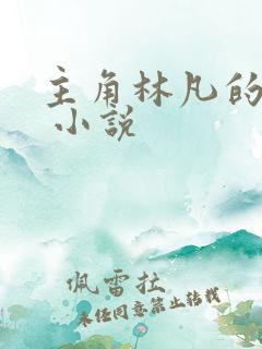 主角林凡的小说 小说