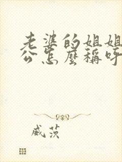 老婆的姐姐的老公怎么称呼