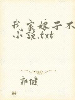 我家娘子不对劲小说.txt