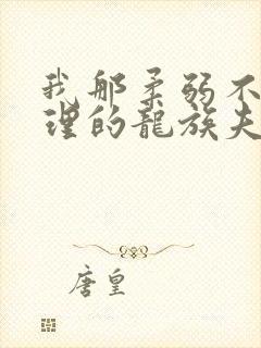 我那柔弱不能自理的龙族夫君 穆幕