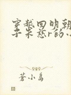 穿越回明朝做太子朱慈r的小说