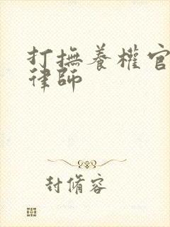 打抚养权官司的律师