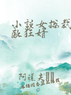 小说女总裁的无敌狂婿