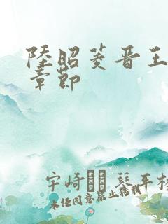 陆昭菱晋王最新章节