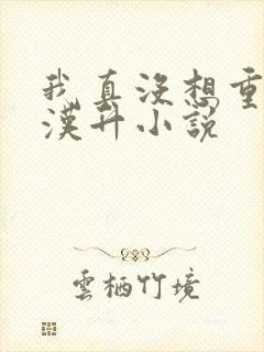 我真没想重生陈汉升小说