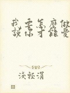 我要怎么做怎么说你才能爱我歌名