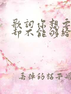 歌词你想要的我却不能够给你我所有