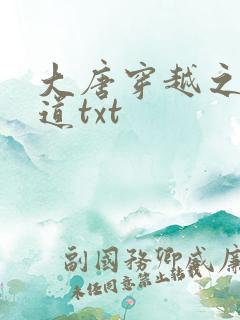 大唐穿越之秦怀道txt