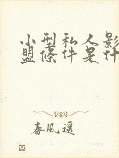 小型私人影院加盟条件是什么