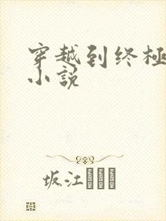 穿越到终极斗罗小说