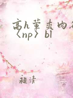 高h荤爽肉欲文〈np〉bl