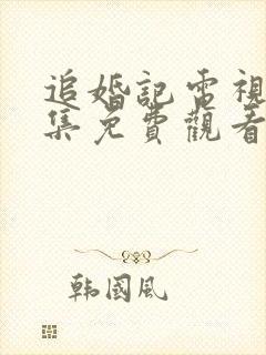 追婚记电视剧全集免费观看完整版