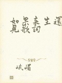 如果来生还能遇见歌词