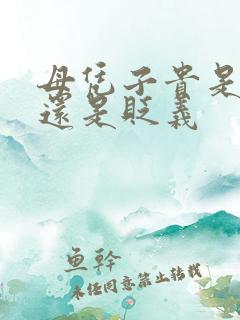 母凭子贵是褒义还是贬义