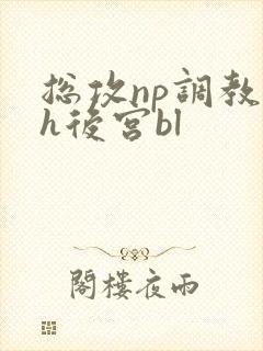 总攻np调教高h后宫bl