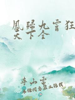 凤归九霄狂妃逆天下全