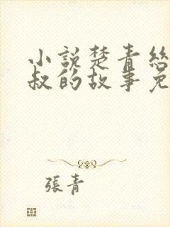 小说楚青丝与陈叔的故事免费阅读